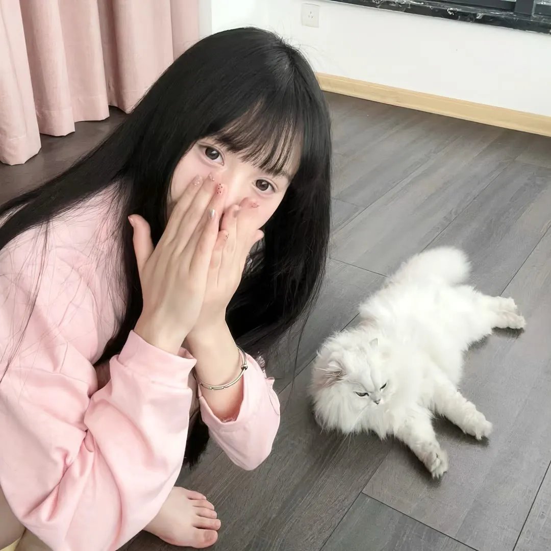 高兴逮笨贼